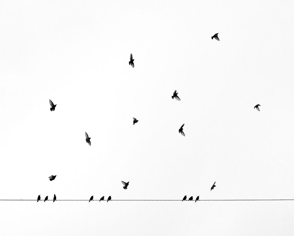 Photograph by Farzaneh Vaezmomeni