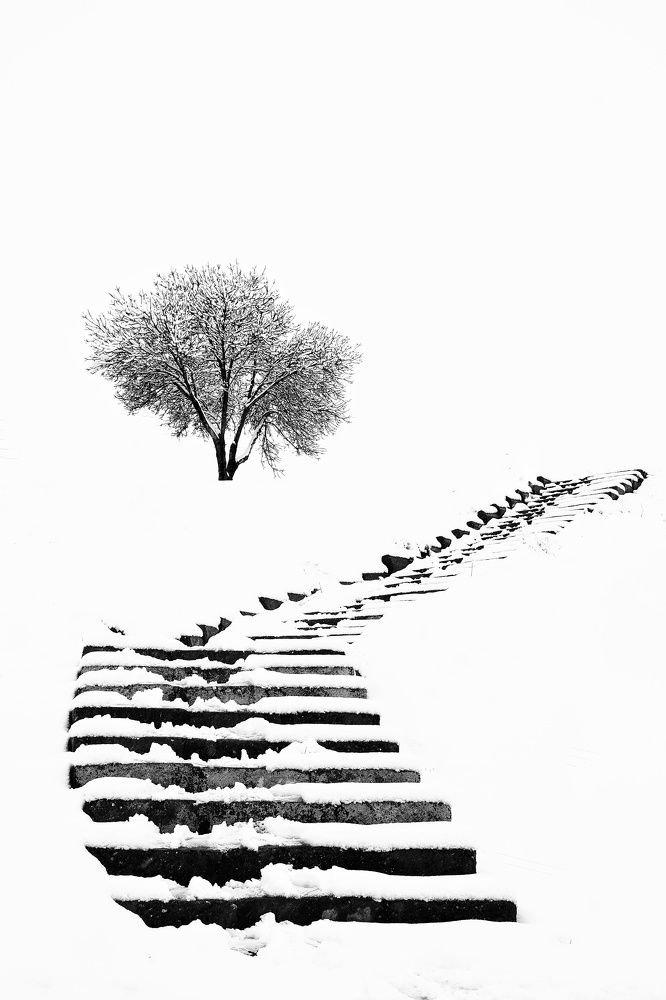 Photograph by Farzaneh Vaezmomeni