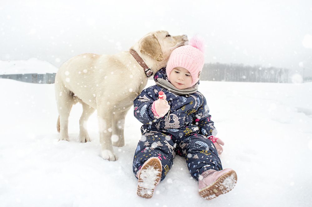Photograph by Иван Япринцев