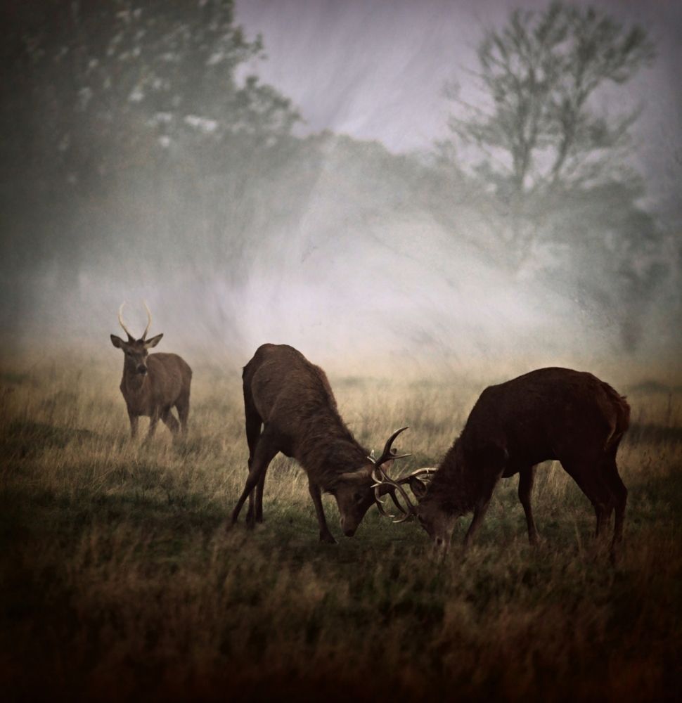 Learning from Masters...