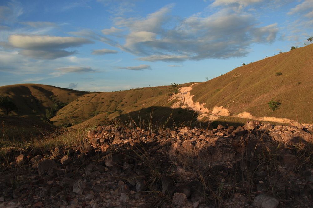 Photograph by Anuja Singh