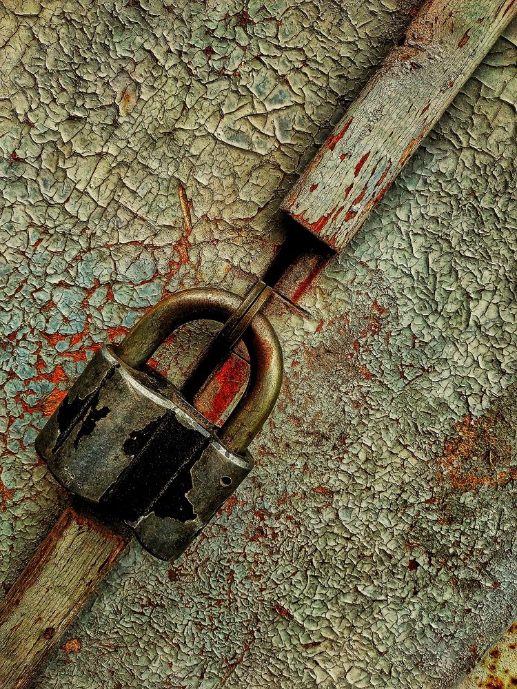 Photograph by Larisa Sheshko