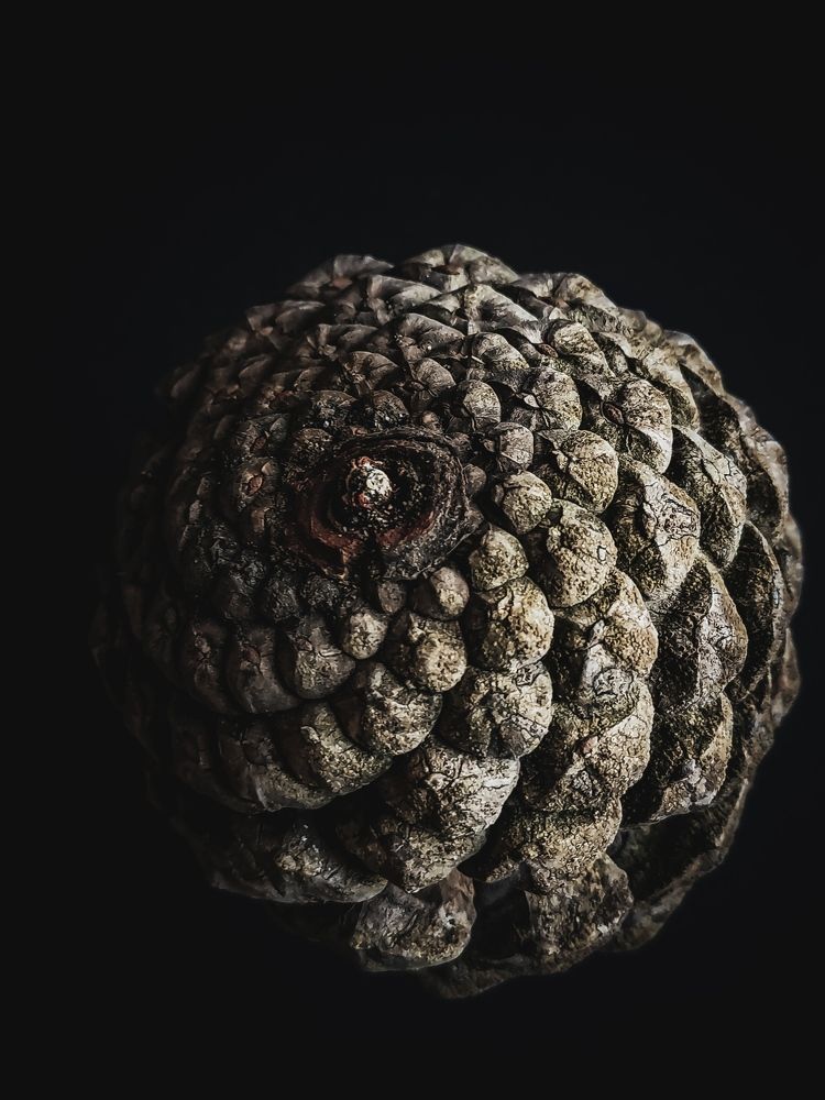 Photograph by Larisa Sheshko