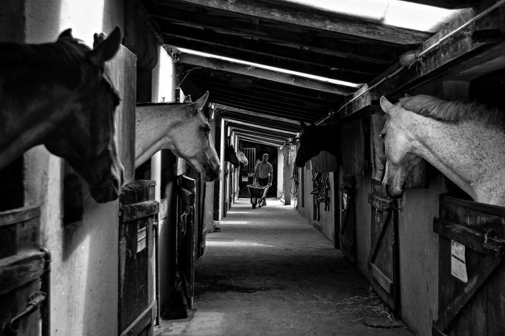 Photograph by Miguel António de Almeida e Silva