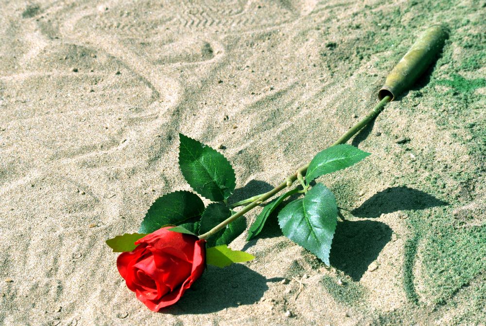 Flowers also grieve a world full of blood