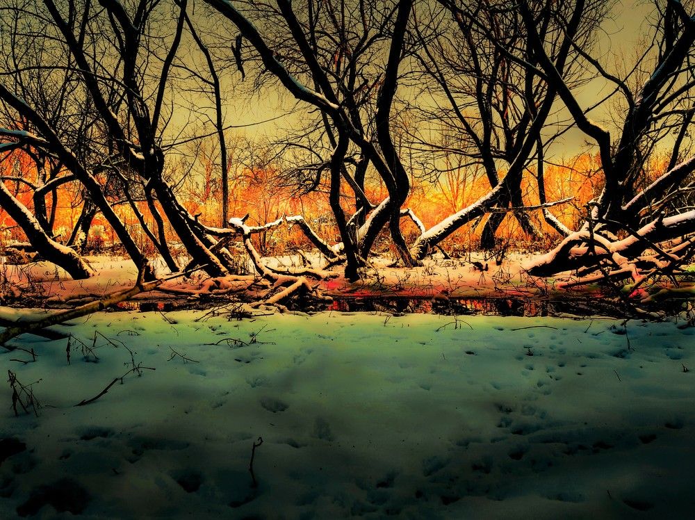 Photograph by Леонид Борисенко