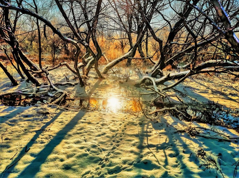 Photograph by Леонид Борисенко