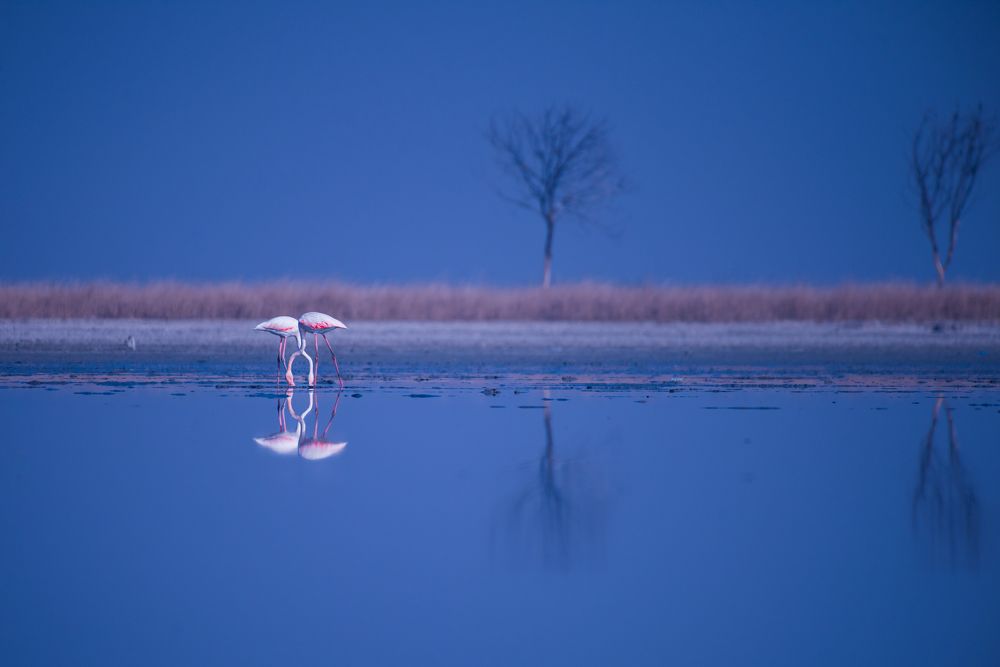 Фотография автора Prashant Parate