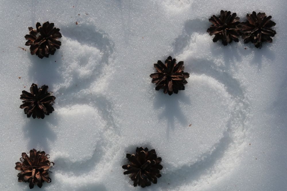 Photograph by Елена Мизина