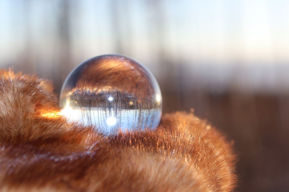 Photograph by Елена Мизина