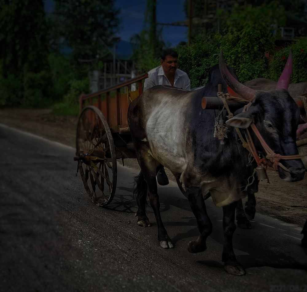 Фотография автора Venkatesh Rao