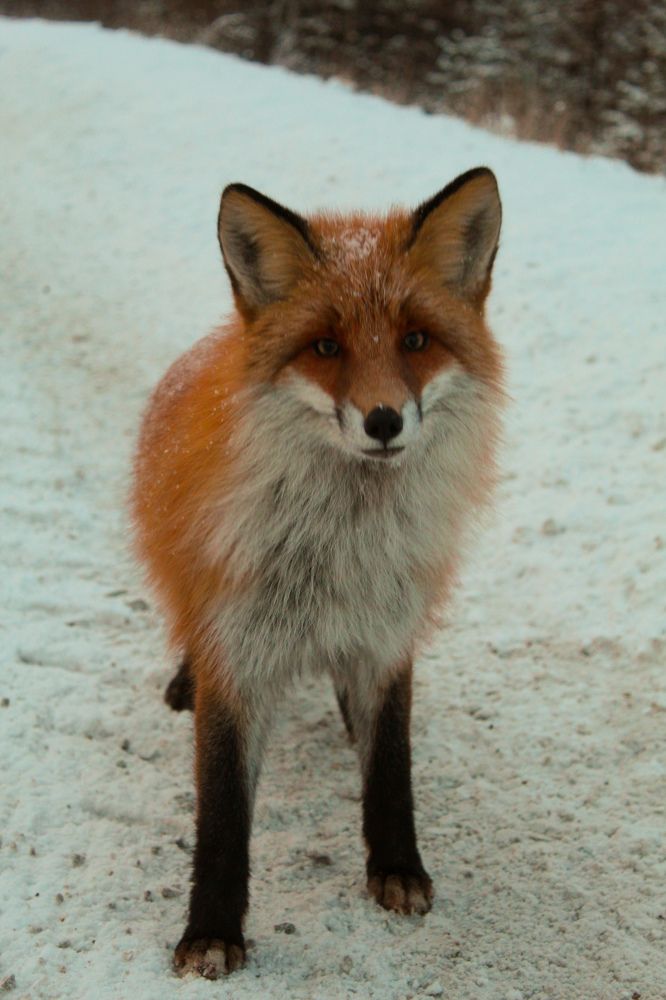 Photograph by Анна Рогачева