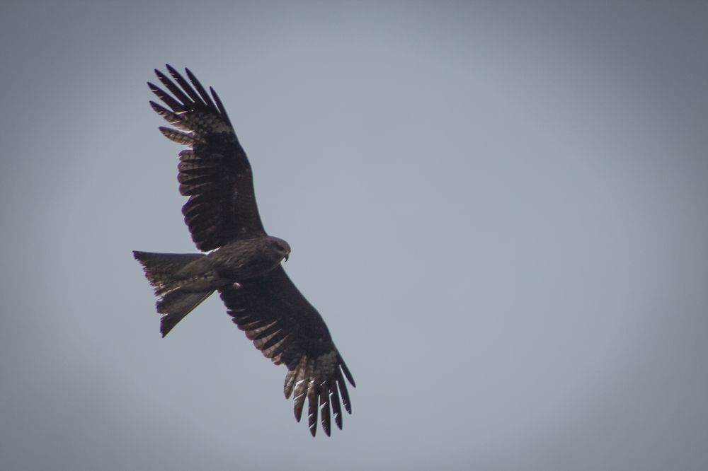 Фотография автора Ivan Karpoff