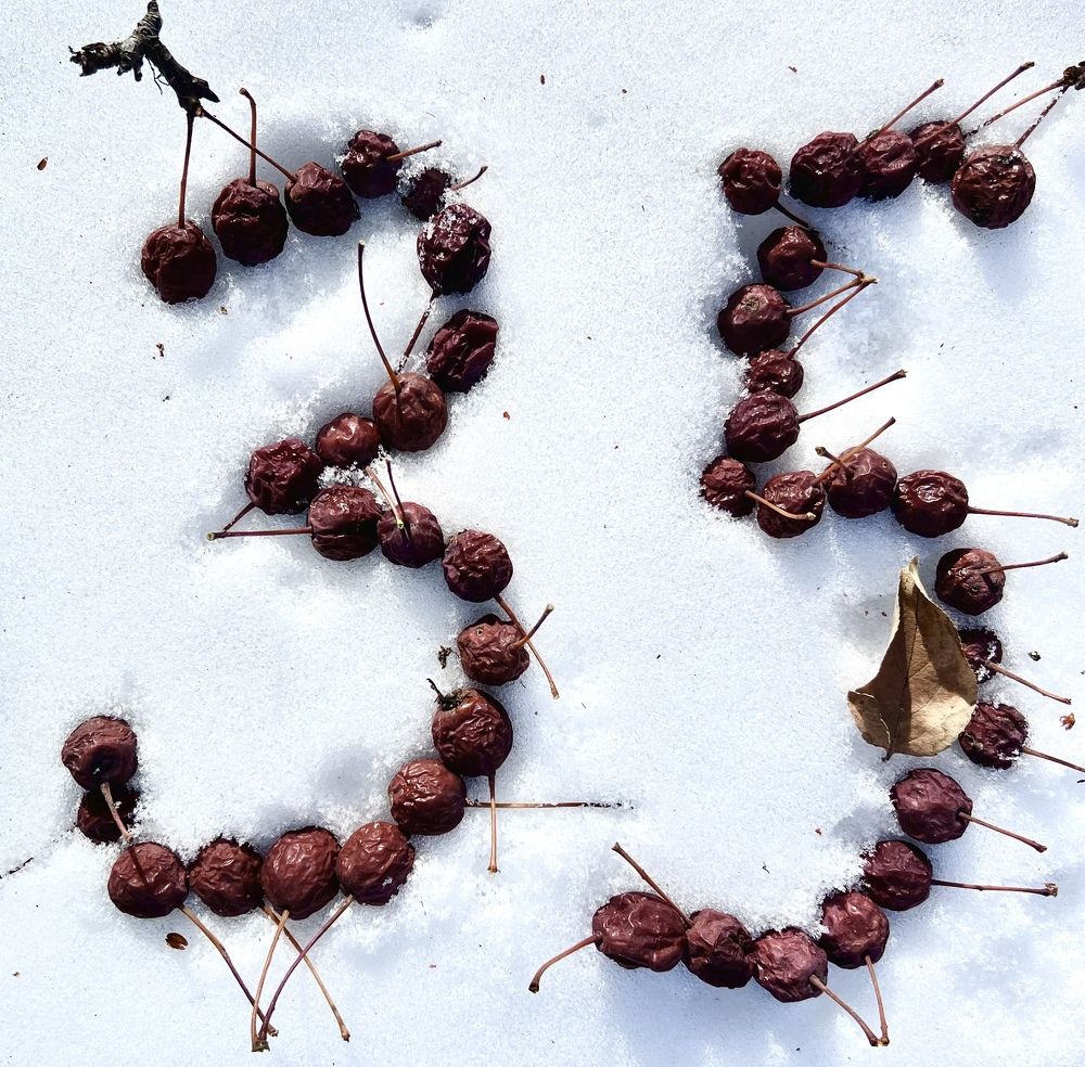 Photograph by Елена Мизина