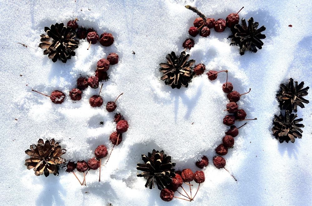 Photograph by Елена Мизина