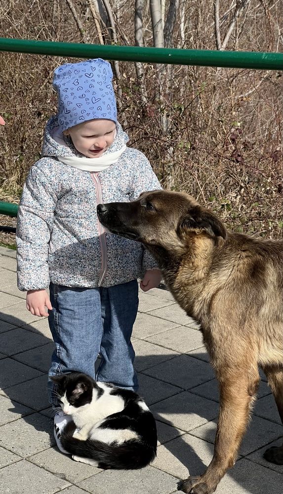 Photograph by Елена Мизина