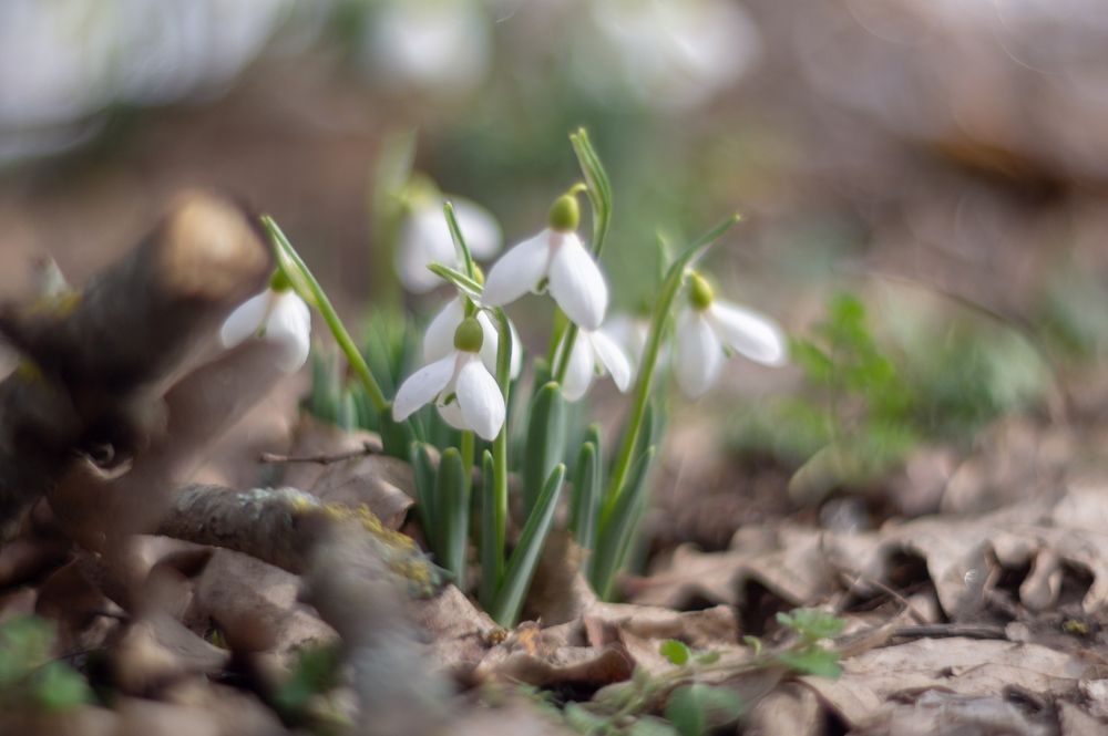 Photograph by Виталий Маслов