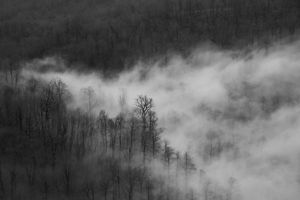 foggy