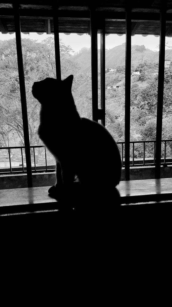 Photograph by Nileydi Colmenarez