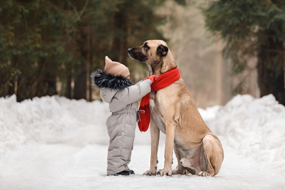 Photograph by Татьяна Степанова