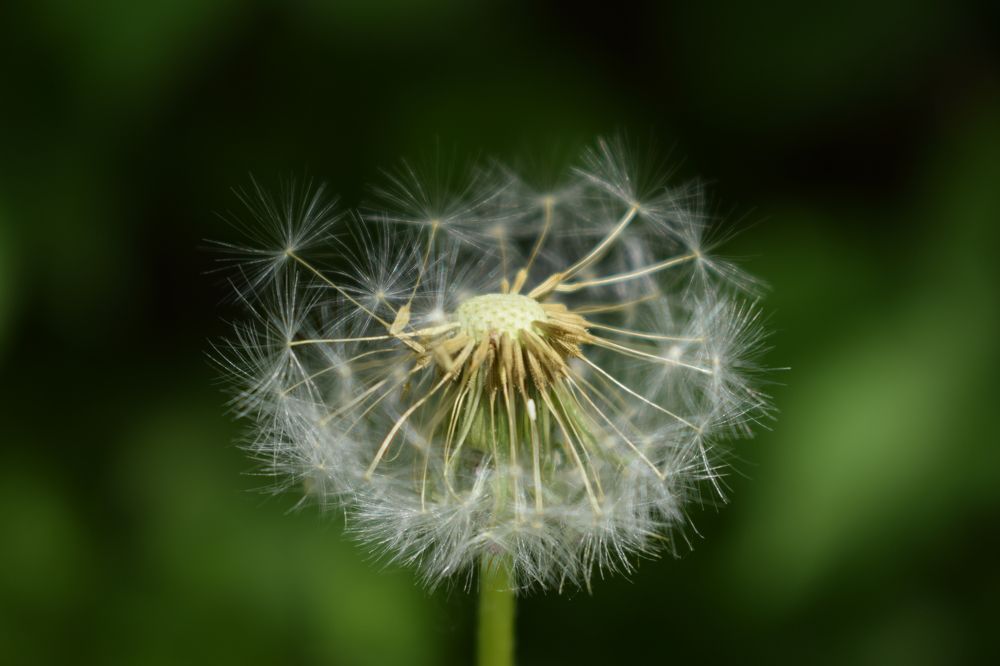 Photograph by Наталья Еременко