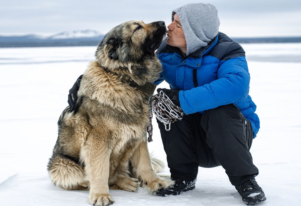 Photograph by Оспан Али