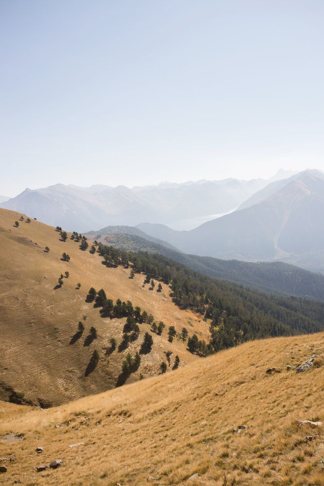 Photograph by Елена Ковалева