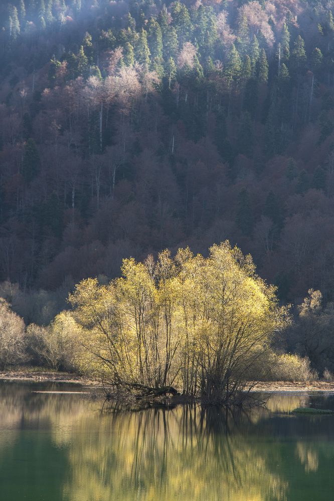 Photograph by Pedja Savkovic