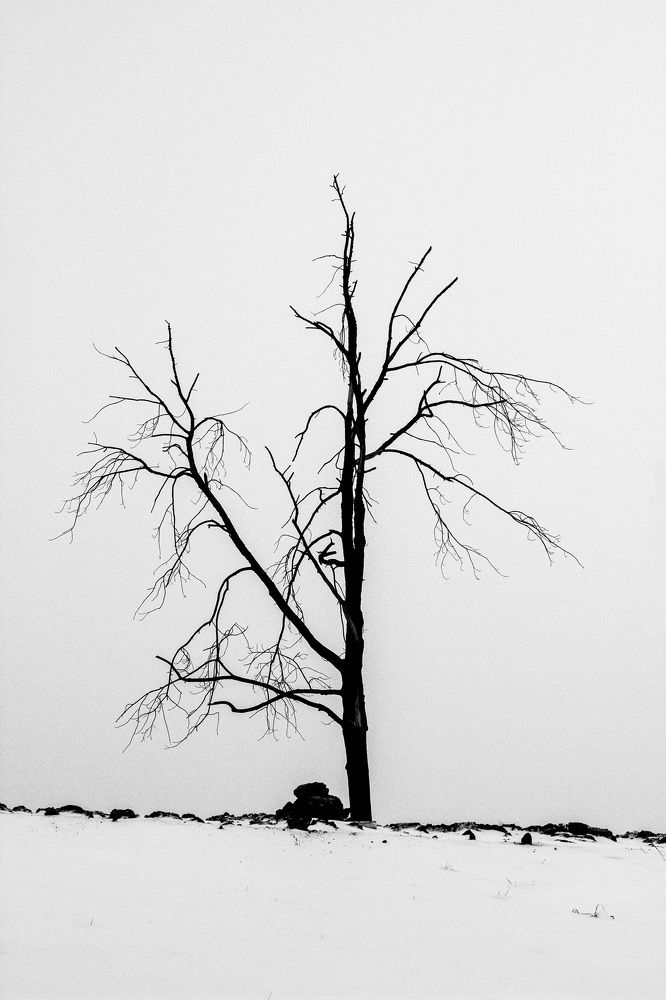 Photograph by Евгений Уханов