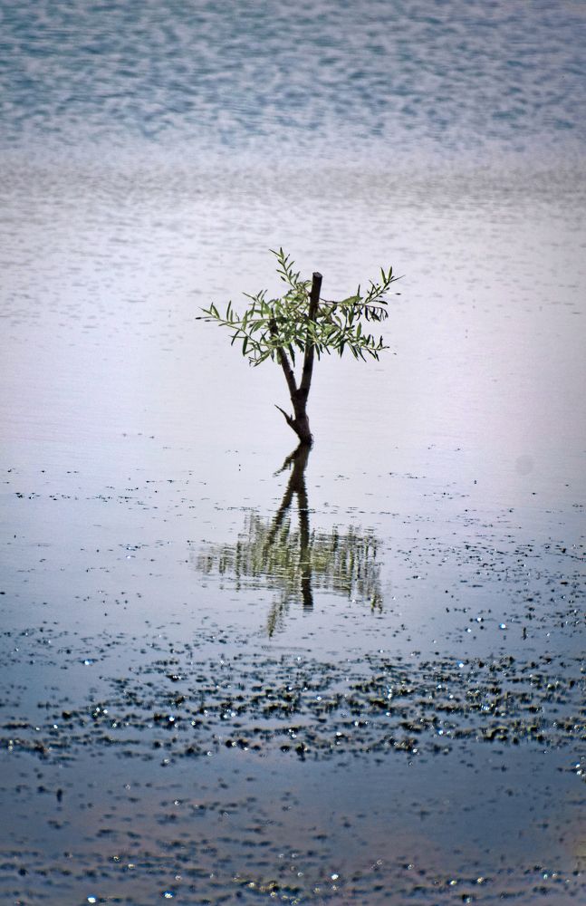 Photograph by Светлана Крат