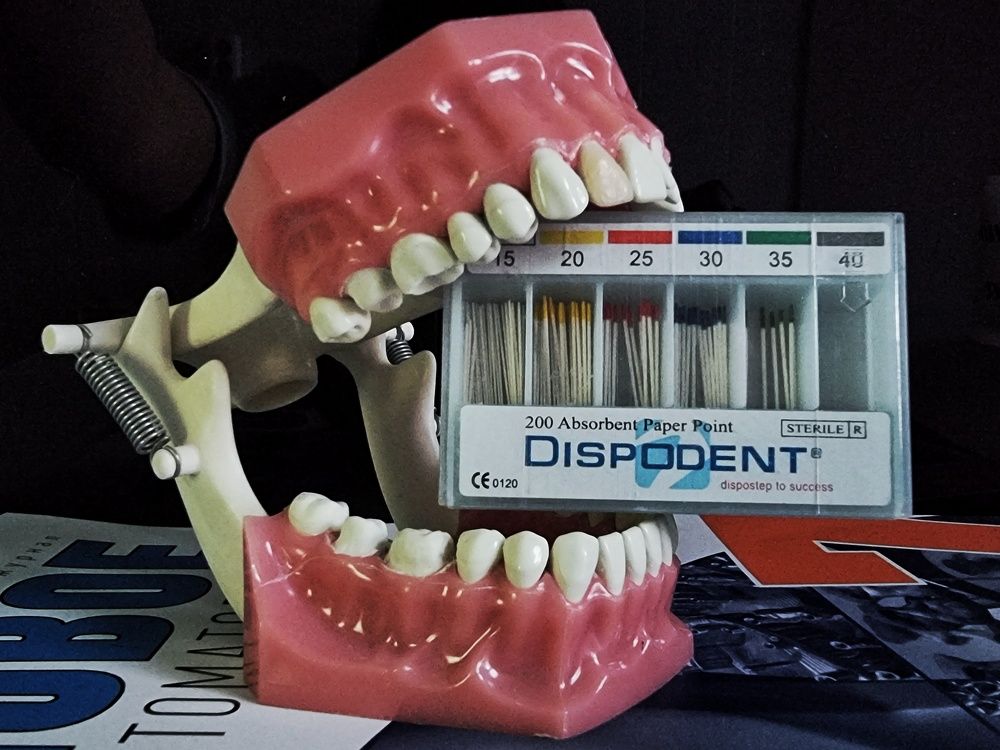 Photograph by Дина Чаица