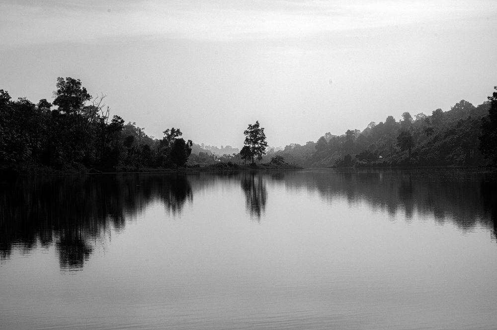 Photograph by PRASENJIT ROY