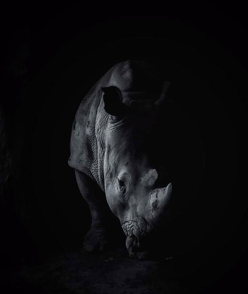 Photograph by Shafiqul Islam