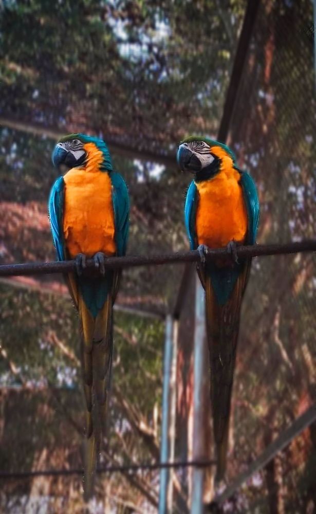 Photograph by Shafiqul Islam