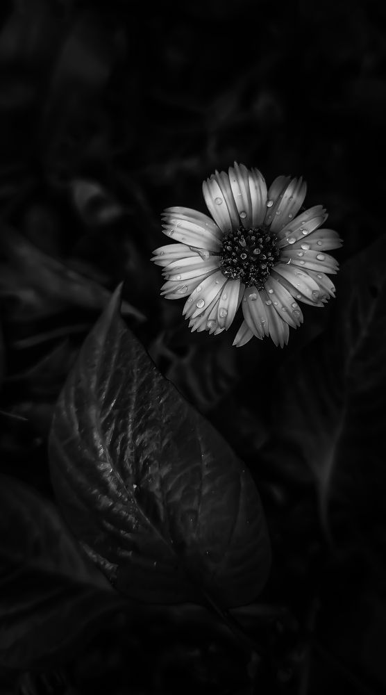 Photograph by Arindam Sahoo