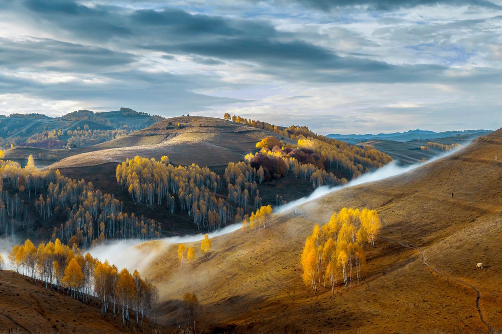 autumn on the hill