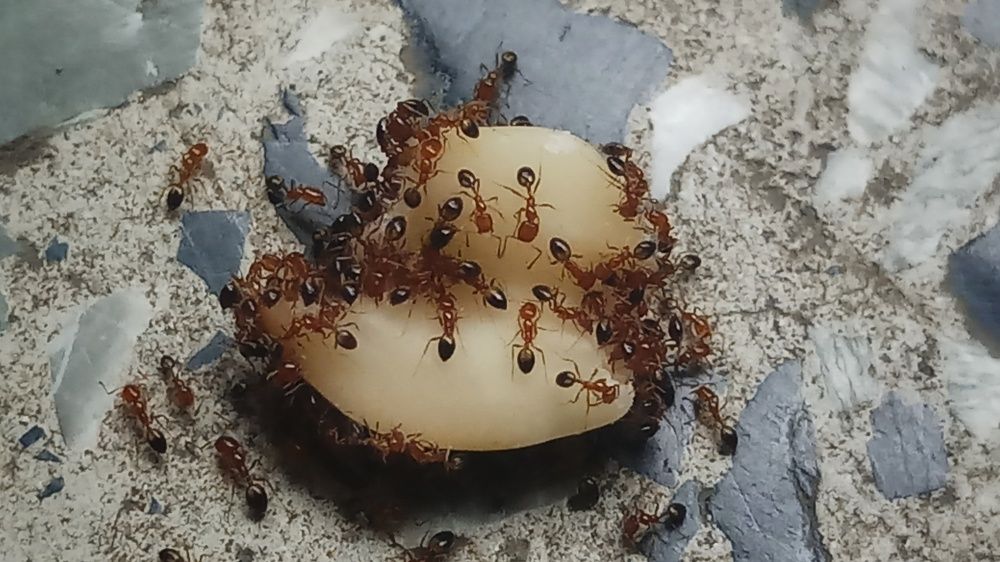 Photograph by Ambewadikar sourabh