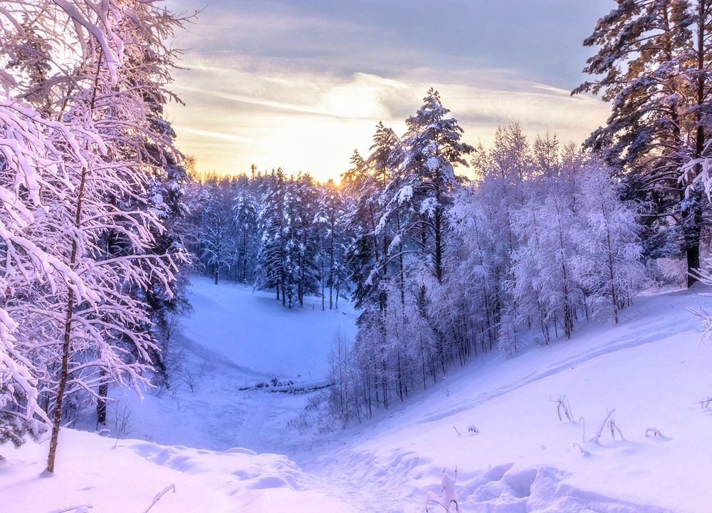 Photograph by Алексей Герасимов