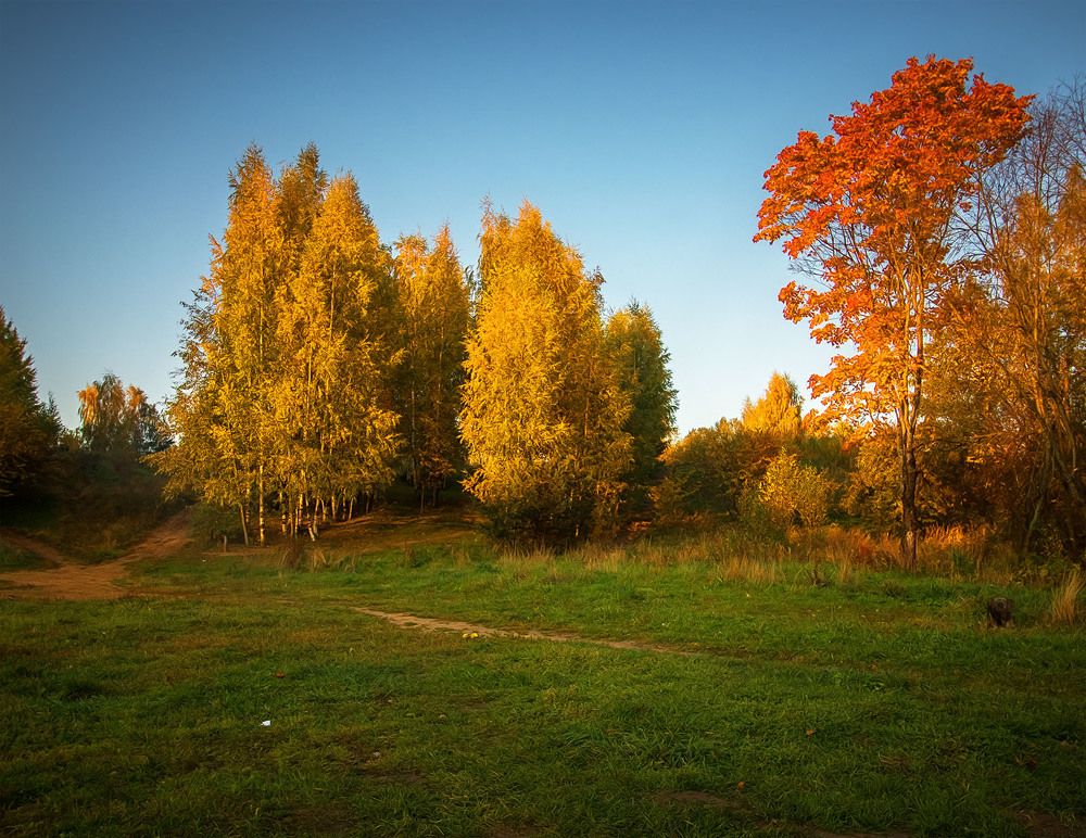 Photograph by Алексей Герасимов