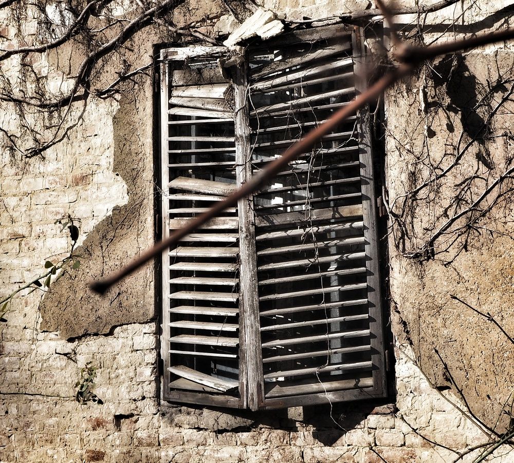 Фотография автора Kiss Gabor