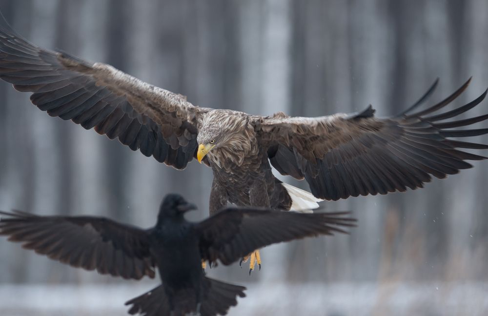 Photograph by Valerijs Bukovskis