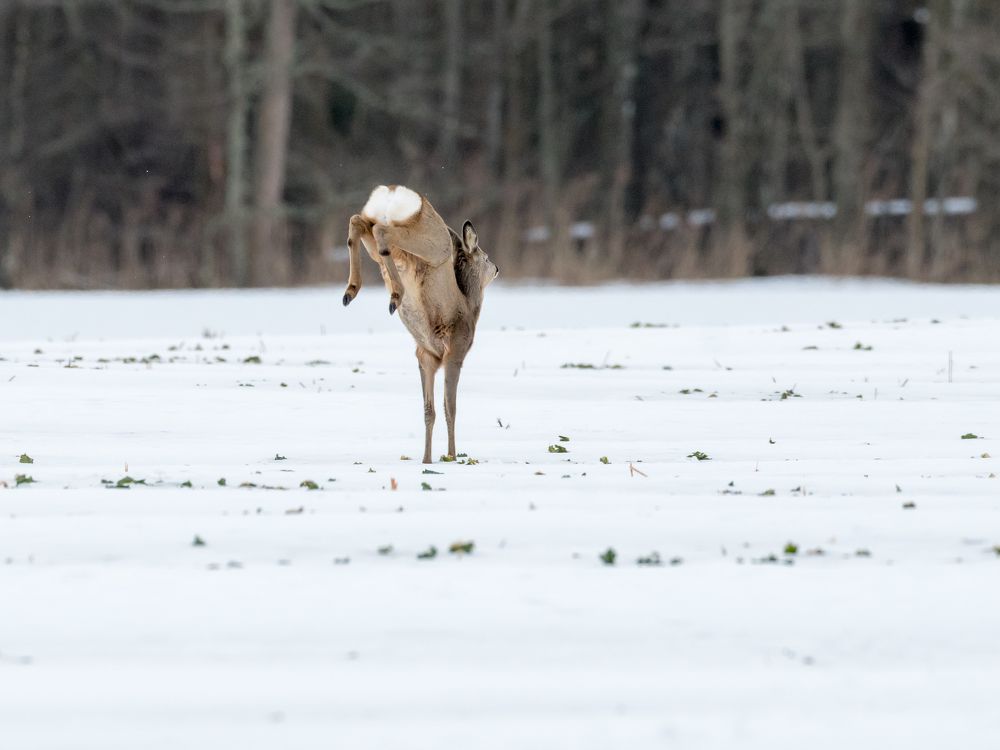 Photograph by Valerijs Bukovskis
