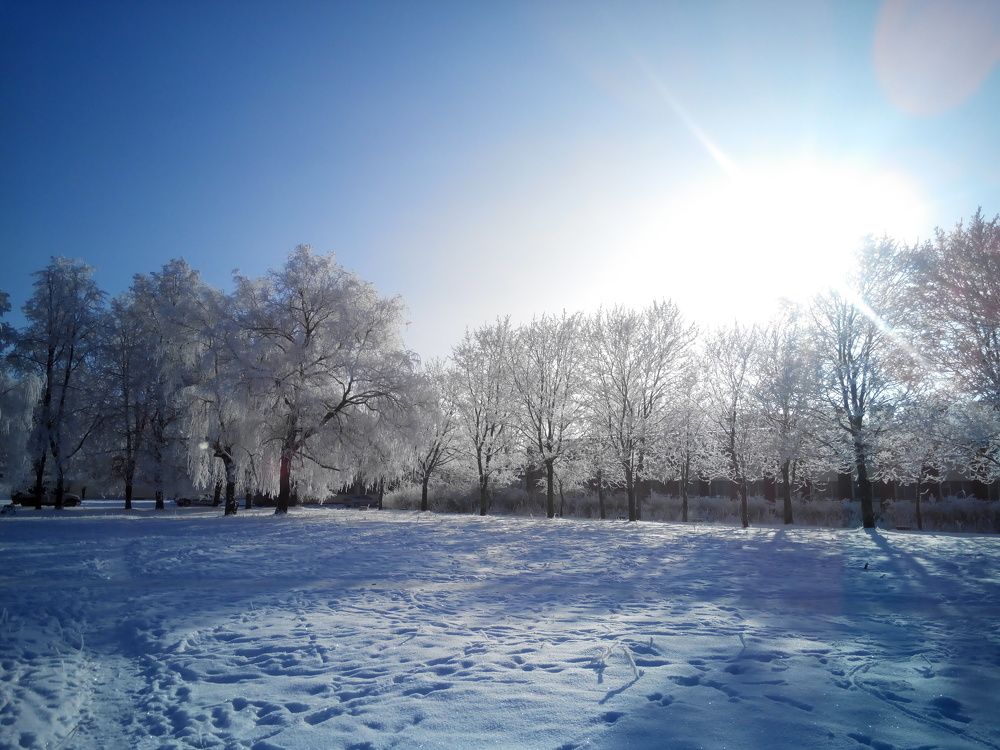 Photograph by Екатерина Познякова