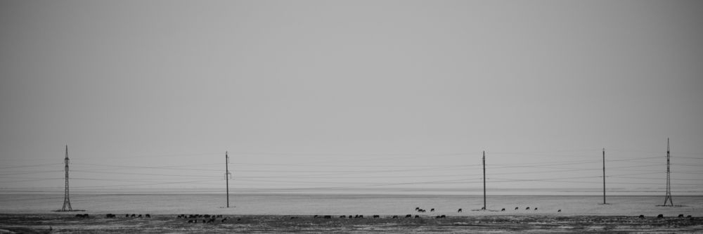 Photograph by Nikita Volodko