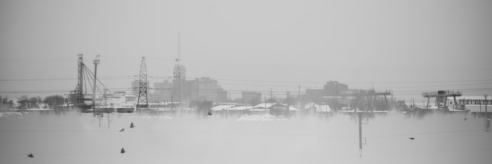 Photograph by Nikita Volodko