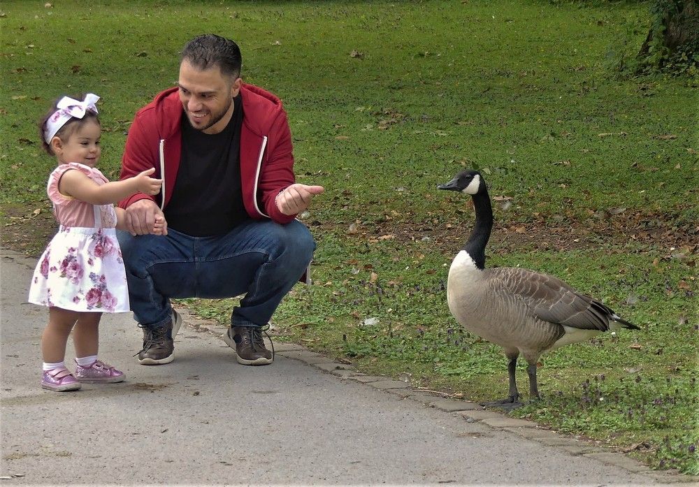 Давай дружить!