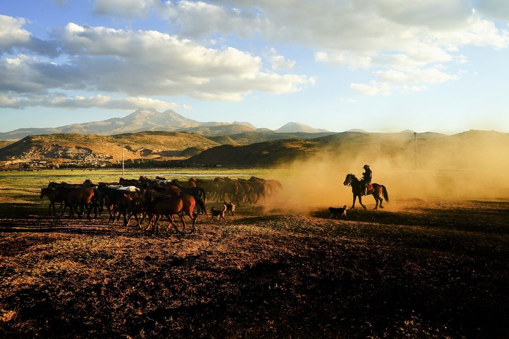 Photograph by Nuket Uluc