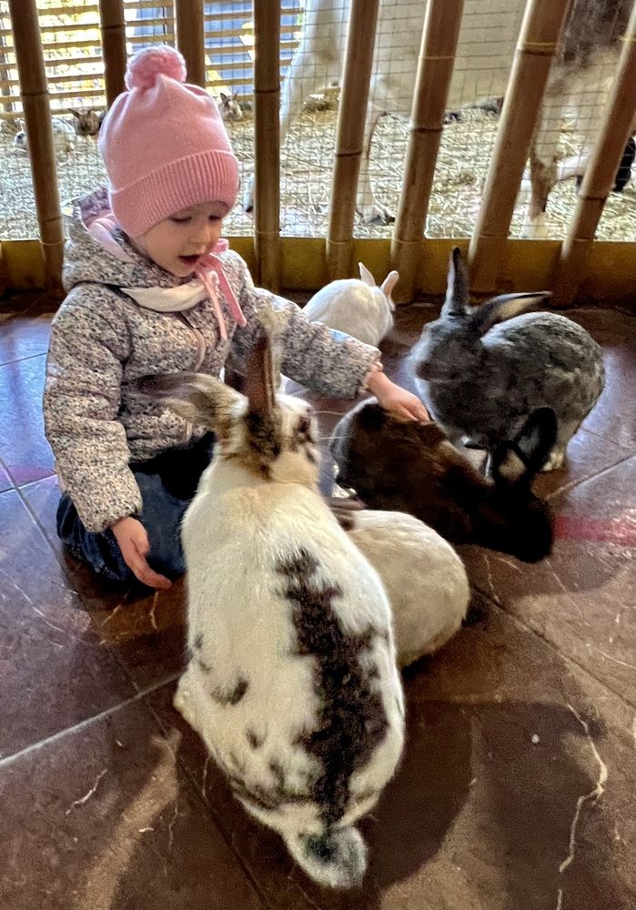 Photograph by Елена Мизина