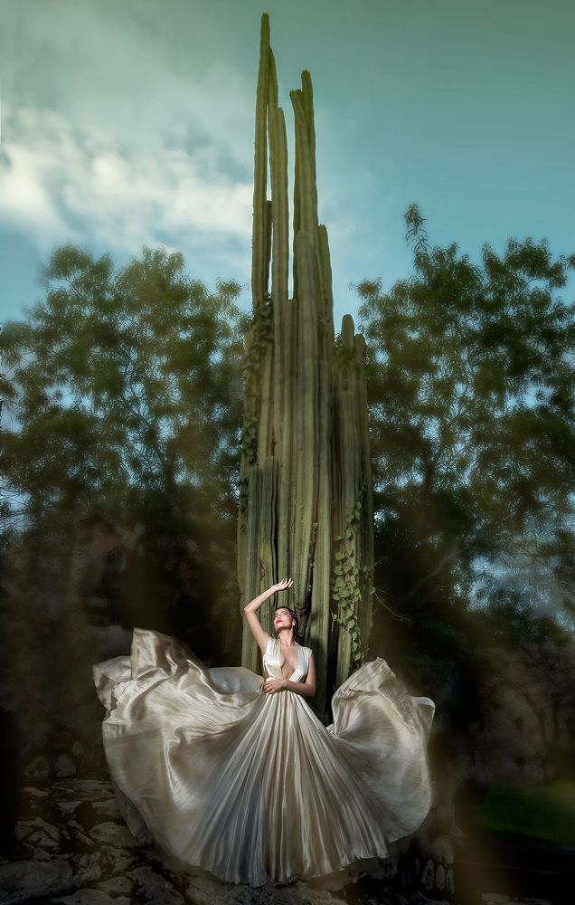 Photograph by Roberto Valdez