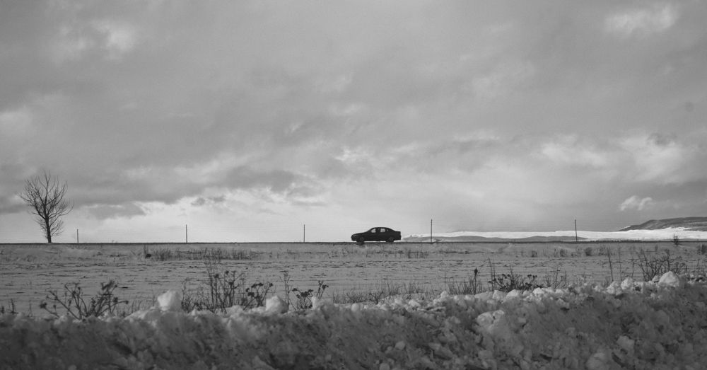 Photograph by David Pipia